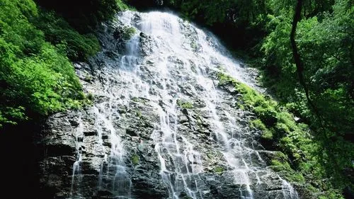 高效高效智能